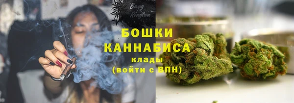 МДПВ Козловка