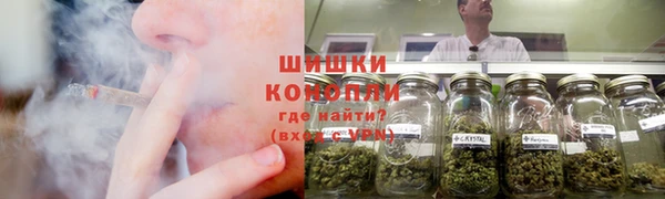 МДПВ Козловка