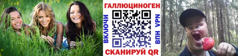 Галлюциногенные грибы Psilocybine cubensis  Называевск 